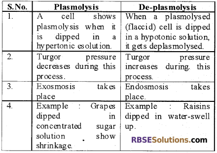 RBSE Solutions for Class 12 Biology Chapter 5 Plant Water Relations 2
