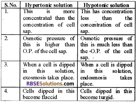 RBSE Solutions for Class 12 Biology Chapter 5 Plant Water Relations 3