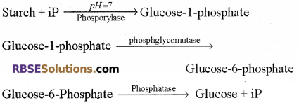 RBSE Solutions for Class 12 Biology Chapter 7 Transpiration 3