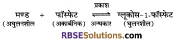 RBSE Solutions for Class 12 Biology Chapter 7 वाष्पोत्सर्जन व बिन्दुस्राव 6