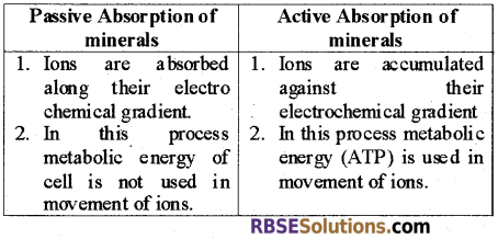 RBSE Solutions for Class 12 Biology Chapter 7 Transpiration 7