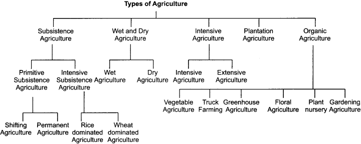 RBSE Solutions for Class 12 Geography Chapter 18 Agriculture img-1