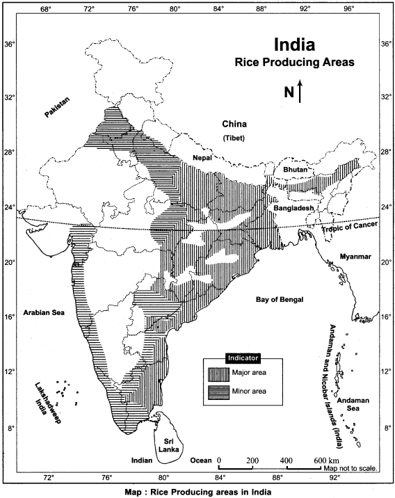 RBSE Solutions for Class 12 Geography Chapter 18 ...