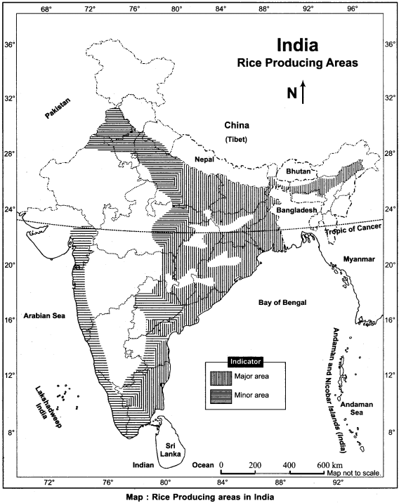 RBSE Solutions for Class 12 Geography Chapter 18 Agriculture img-3