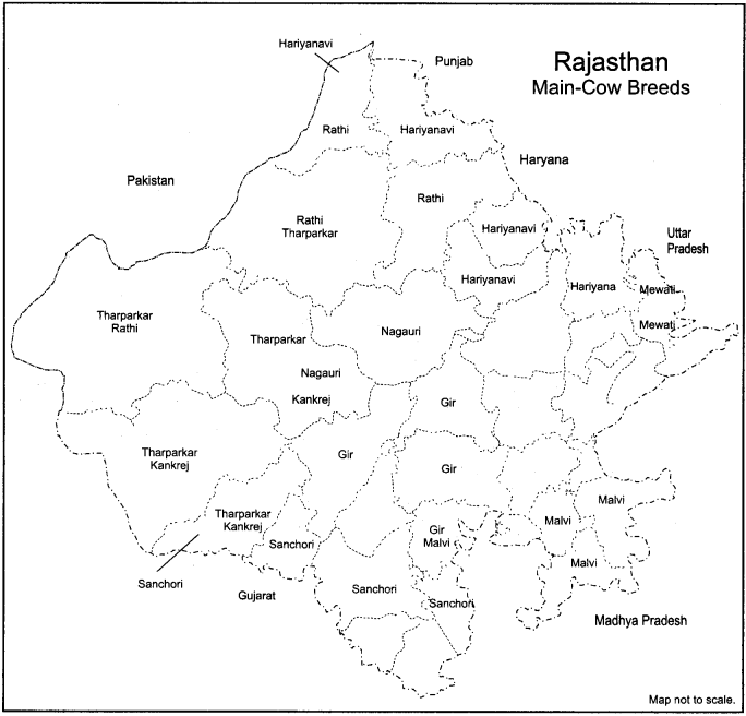 RBSE Solutions for Class 12 Geography Chapter 24 Rajasthan Minerals and Industries img-2