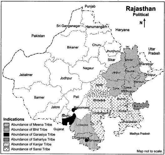 RBSE Solutions for Class 12 Geography Chapter 25 Rajasthan Population and Tribes img-10