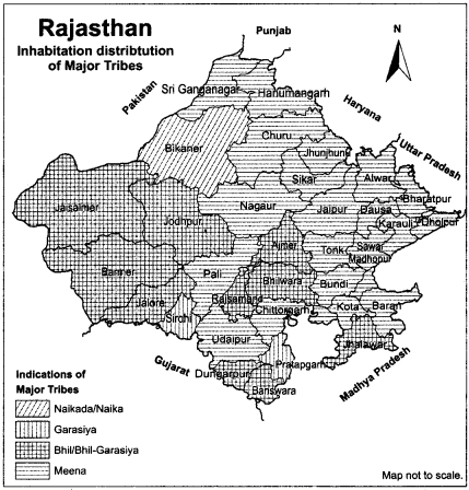 RBSE Solutions for Class 12 Geography Chapter 25 Rajasthan Population and Tribes img-2