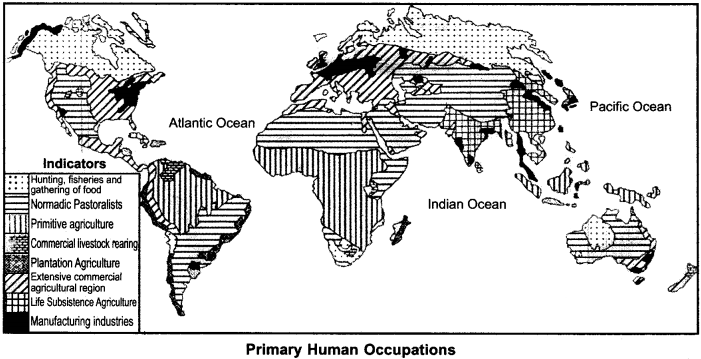 RBSE Solutions for Class 12 Geography Chapter 7 Human Occupations Major Types img-3