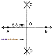 RBSE Solutions for Class 6 Maths Chapter 8 Basic Geometrical Concepts and Shapes Ex 8.2 image 4
