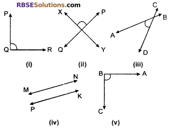 RBSE Solutions for Class 6 Maths Chapter 8 Basic Geometrical Concepts and Shapes Ex 8.2 image 6