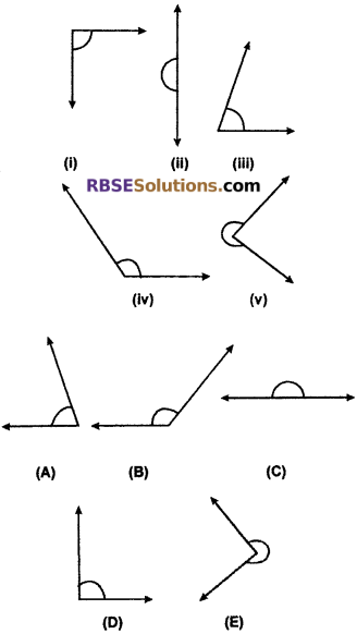 RBSE Solutions for Class 6 Maths Chapter 8 Basic Geometrical Concepts and Shapes Ex 8.3 image 16