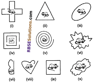 RBSE Solutions for Class 6 Maths Chapter 9 Simple Two Dimensional Shapes In Text Exercise image 6