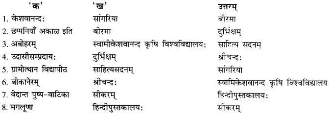 RBSE Solutions forClass 10 Sanskrit स्पन्दन Chapter 8 कर्मयोगी स्वामी केशवानन्दः image 1