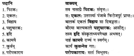 RBSE Solutions forClass 10 Sanskrit स्पन्दन Chapter 8 कर्मयोगी स्वामी केशवानन्दः image 4