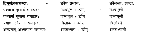 Rajasthan Board RBSE Class 10 Sanskrit व्याकरणम् प्रत्ययः image 23