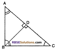 RBSE Solutions for Class 10 Maths Chapter 11 Similarity Ex 11.4 13