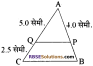 RBSE Solutions for Class 10 Maths Chapter 11 समरूपता Additional Questions 18