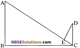RBSE Solutions for Class 10 Maths Chapter 11 समरूपता Ex 11.3 20