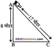 RBSE Solutions for Class 10 Maths Chapter 19 सड़क सुरक्षा शिक्षा 27