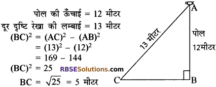RBSE Solutions for Class 10 Maths Chapter 19 सड़क सुरक्षा शिक्षा 29