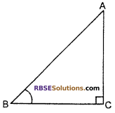RBSE Solutions for Class 10 Maths Chapter 6 Trigonometric Ratios Additional Questions 2