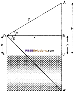 RBSE Solutions for Class 10 Maths Chapter 8 Height and Distance Additional Questions 47