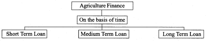 RBSE Solutions for Class 11 Economics Chapter 17 Agricultural Development 1