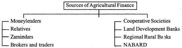 RBSE Solutions for Class 11 Economics Chapter 17 Agricultural Development 2