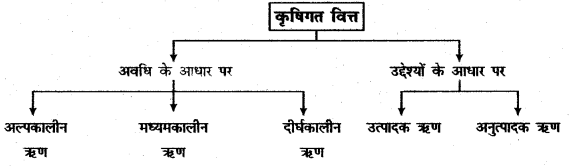 RBSE Solutions for Class 11 Economics Chapter 17 कृषिगत विकास 3