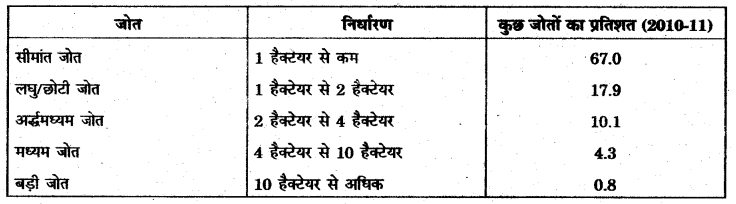 RBSE Solutions for Class 11 Economics Chapter 17 कृषिगत विकास 4