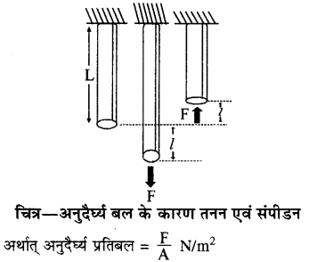 RBSE Solutions for Class 11 Physics Chapter 10 स्थूल पदार्थों के गुण 5