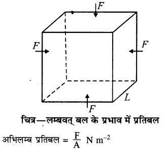 RBSE Solutions for Class 11 Physics Chapter 10 स्थूल पदार्थों के गुण 6