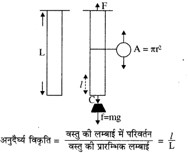 RBSE Solutions for Class 11 Physics Chapter 10 स्थूल पदार्थों के गुण 9