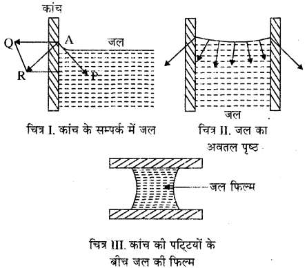 RBSE Solutions for Class 11 Physics Chapter 11 तरल 1