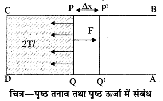 RBSE Solutions for Class 11 Physics Chapter 11 तरल 10