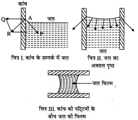 RBSE Solutions for Class 11 Physics Chapter 11 तरल 11