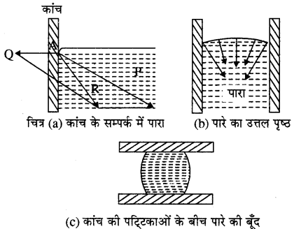 RBSE Solutions for Class 11 Physics Chapter 11 तरल 12
