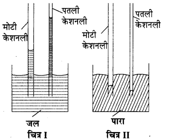 RBSE Solutions for Class 11 Physics Chapter 11 तरल 13