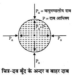 RBSE Solutions for Class 11 Physics Chapter 11 तरल 19