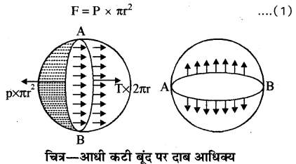 RBSE Solutions for Class 11 Physics Chapter 11 तरल 20