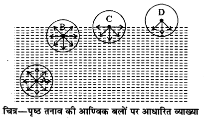 RBSE Solutions for Class 11 Physics Chapter 11 तरल 9