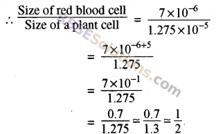 RBSE Solutions for Class 8 Maths Chapter 3 Powers and Exponents Additional Questions 17