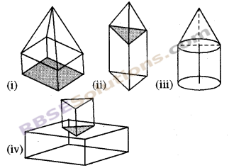 RBSE Solutions for Class 8 Maths Chapter 8 Visualization of Solids Ex 8.1 img-2