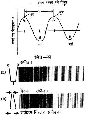 RBSE Solutions for Class 9 Science Chapter 11 ध्वनि 13