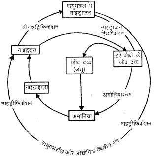 RBSE Solutions for Class 9 Science Chapter 13 पर्यावरण 1