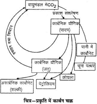 RBSE Solutions for Class 9 Science Chapter 13 पर्यावरण 10