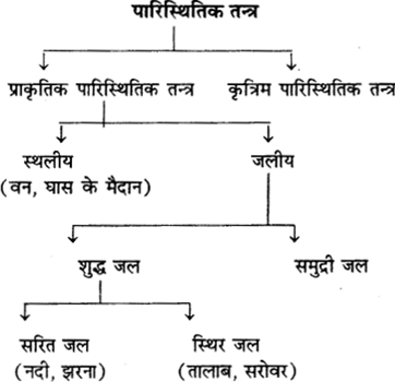 RBSE Solutions for Class 9 Science Chapter 13 पर्यावरण 2
