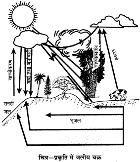 RBSE Solutions for Class 9 Science Chapter 13 पर्यावरण 9