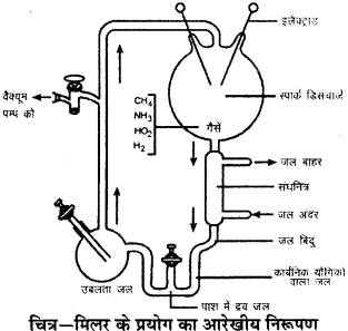 RBSE Solutions for Class 9 Science Chapter 5 जीवन की अवधारणा 1