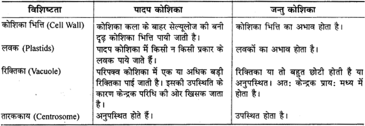 RBSE Solutions for Class 9 Science Chapter 6 सजीव की संरचना 2